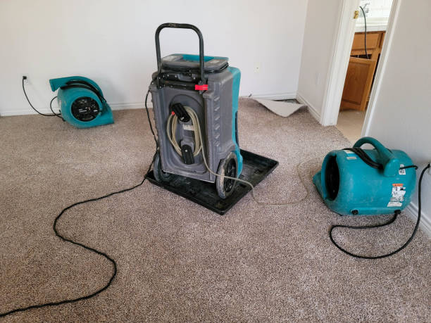 Best Residential water damage restoration  in Endicott, NY