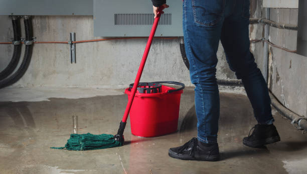 Best Flood restoration services  in Endicott, NY