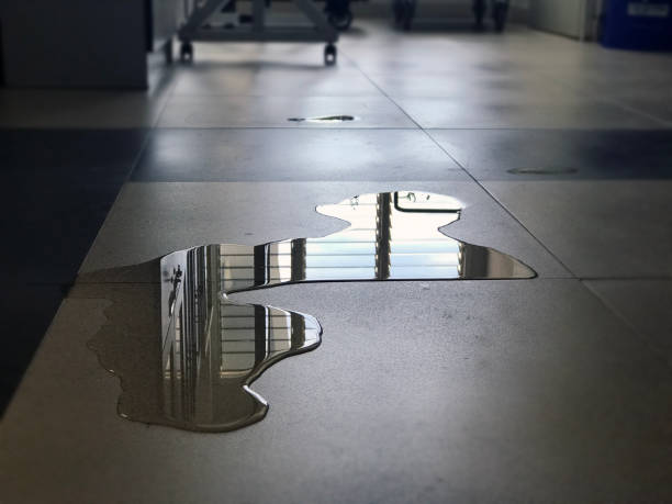 Best Water damage repair service  in Endicott, NY