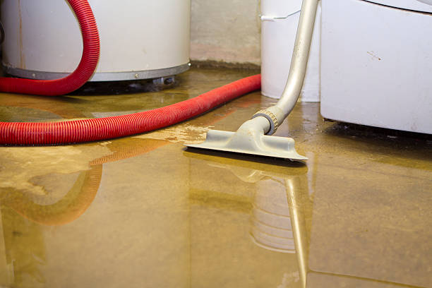 Best Professional water damage repair  in Endicott, NY