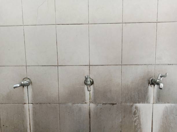 Best Fire Damage Restoration  in Endicott, NY