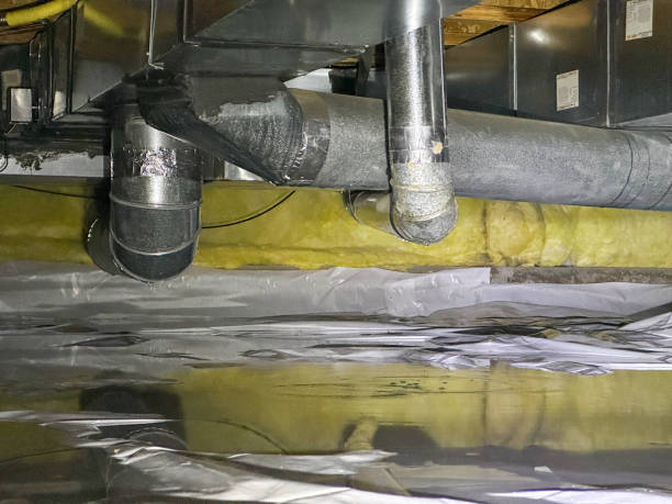 Best Flood damage cleanup  in Endicott, NY