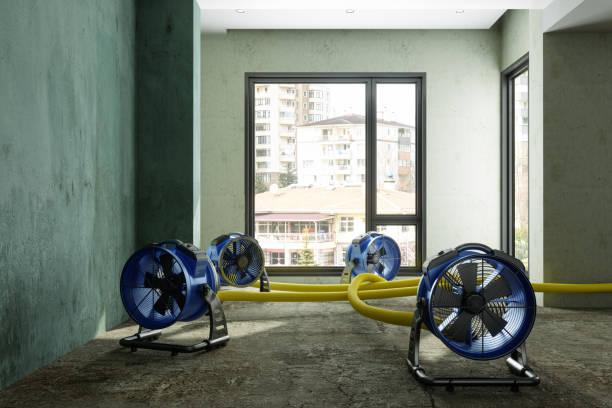 Best Water damage restoration near me  in Endicott, NY