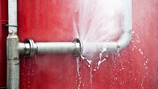 Best Water damage cleanup near me  in Endicott, NY