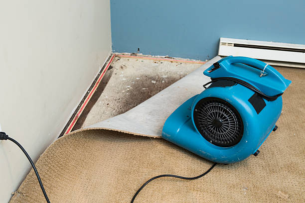 Sewage cleanup and water damage restoration in Endicott, NY